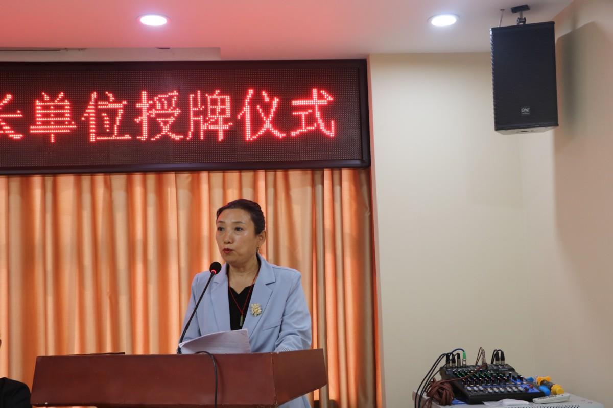 河北省传统文化教育学会分支机构2022年度工作汇报(八)
